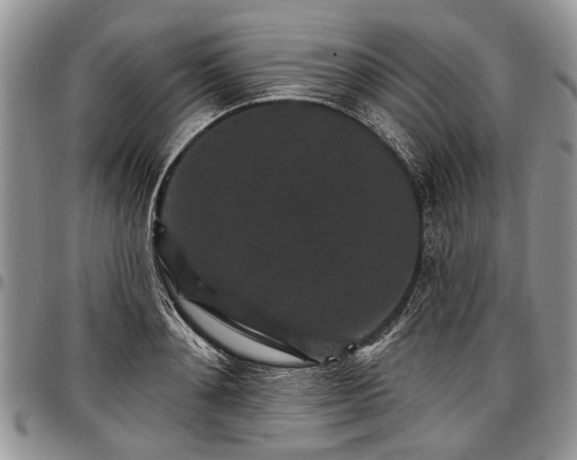 X0000097490892200802291429