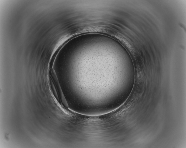 X0000097490894200802291429