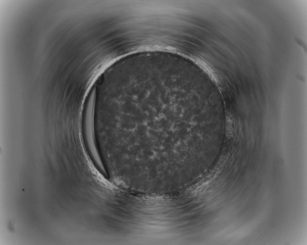 X0000097490895200802291429