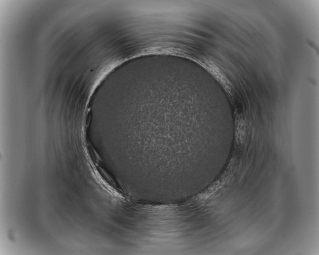 X0000097490896200802291429