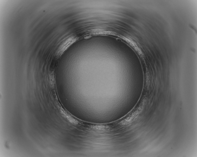 X0000097490897200802291429