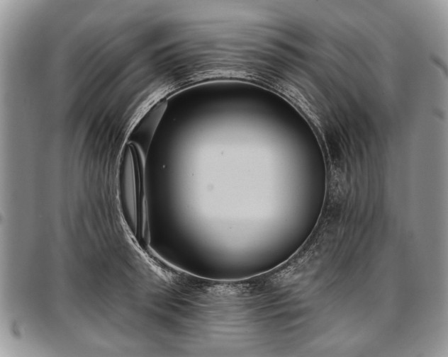 X0000097490898200802291429