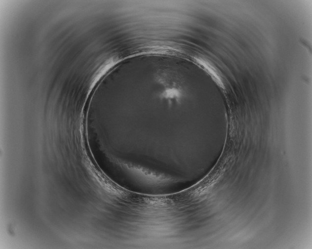 X0000097490899200802291429