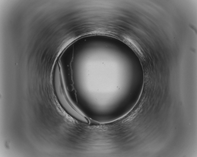 X0000097490900200802291429