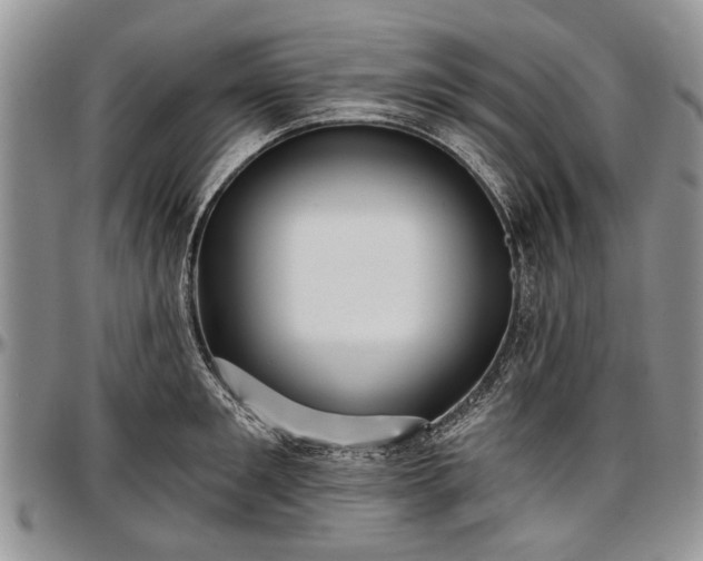 X0000097490901200802291429