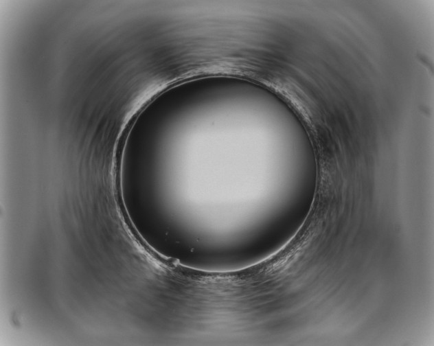 X0000097490902200802291429