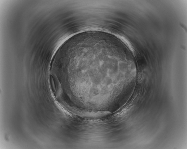 X0000097490903200802291429