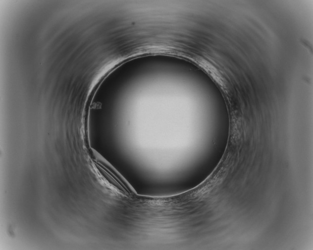 X0000097490904200802291429