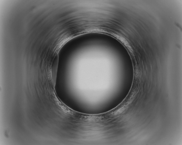 X0000097490905200802291429