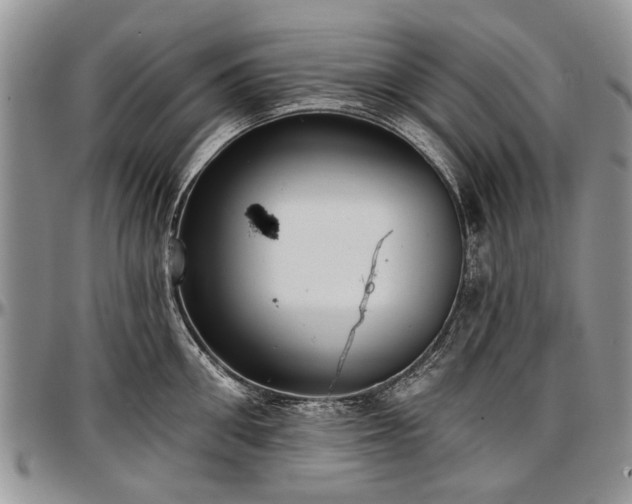 X0000097490906200802291429