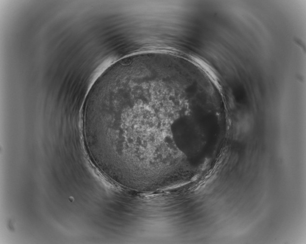 X0000097490907200802291429