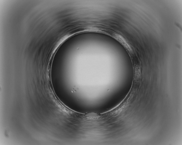 X0000097490908200802291429