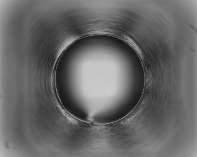 X0000097490909200802291429