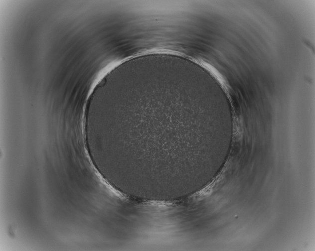 X0000097490910200802291429