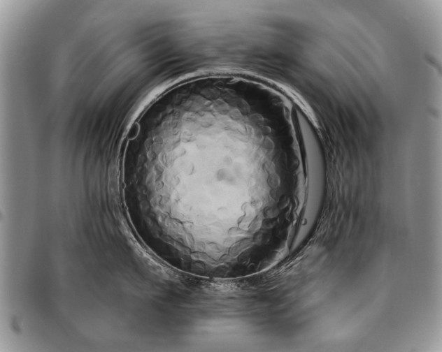 X0000097490911200802291429