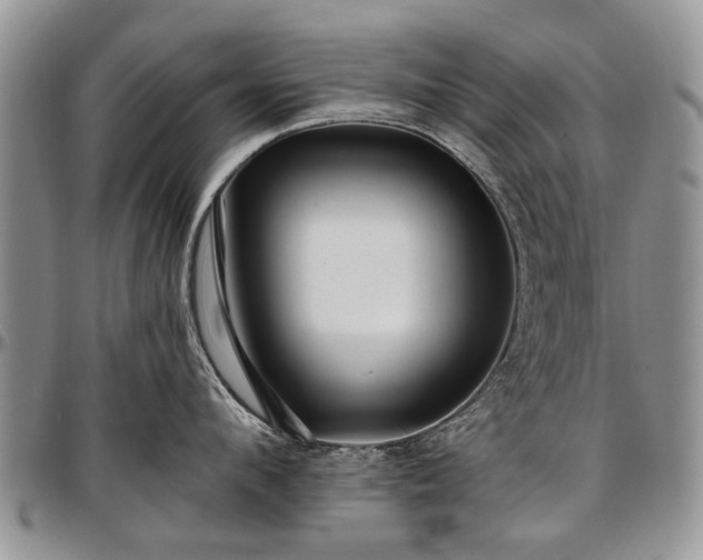 X0000097490912200802291429