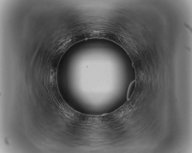 X0000097490914200802291428