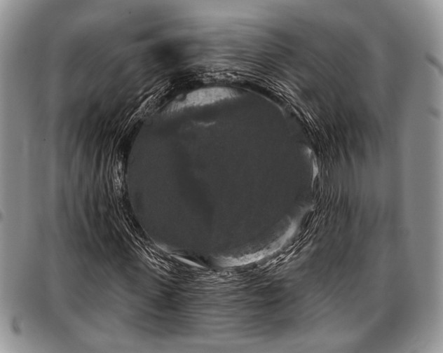 X0000097490915200802291428