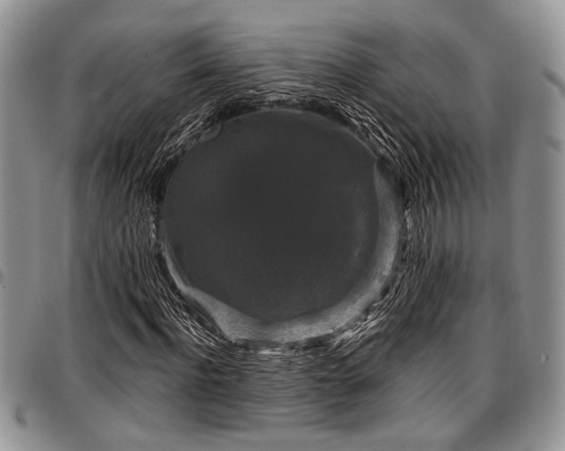 X0000097490916200802291428