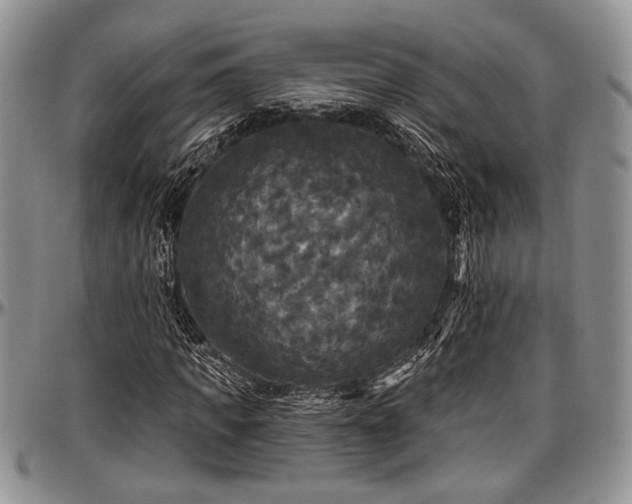 X0000097490917200802291428