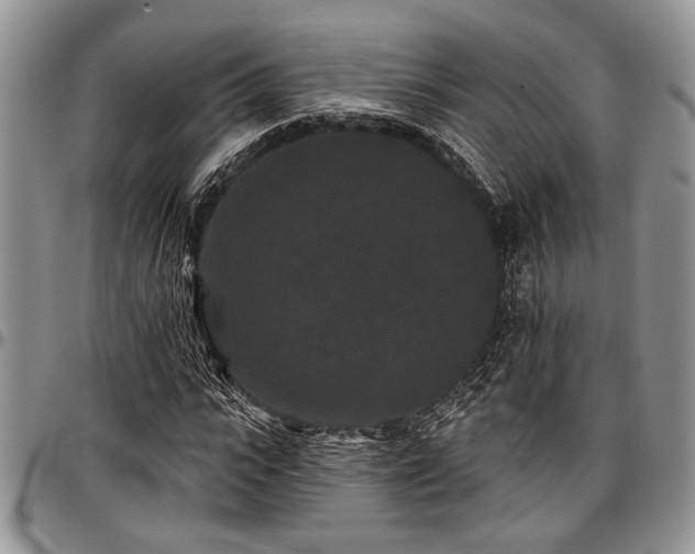 X0000097490919200802291428