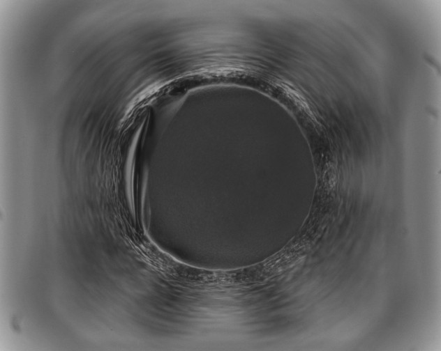 X0000097490920200802291428