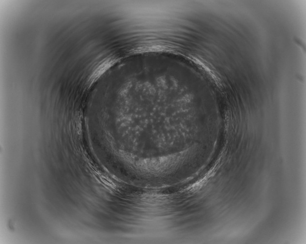 X0000097490921200802291428