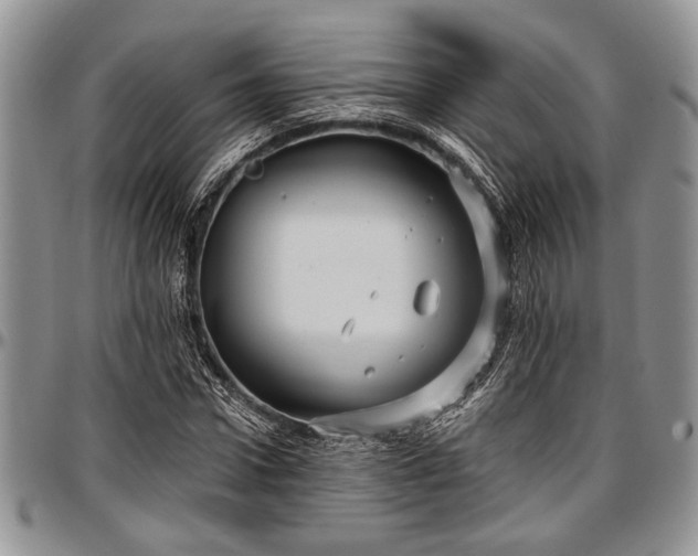 X0000097490922200802291428