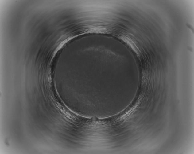 X0000097490923200802291428