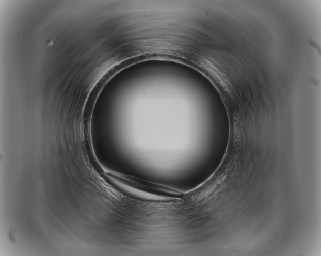 X0000097490924200802291428