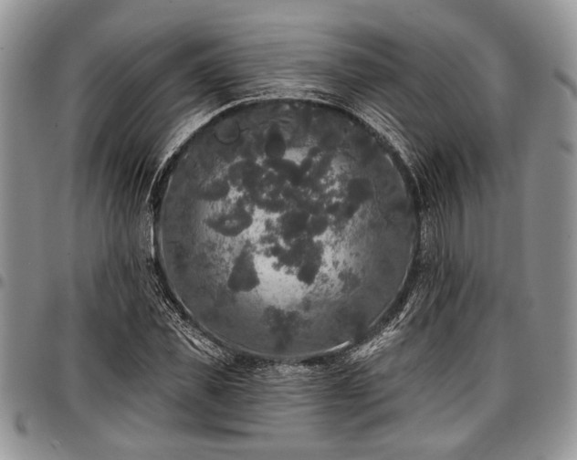 X0000097490925200802291428