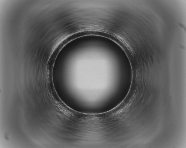 X0000097490926200802291428