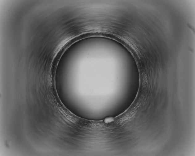 X0000097490927200802291428