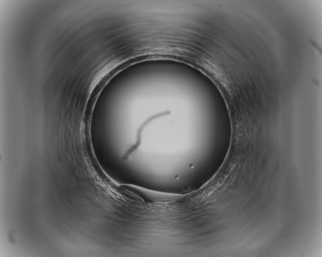 X0000097490928200802291428