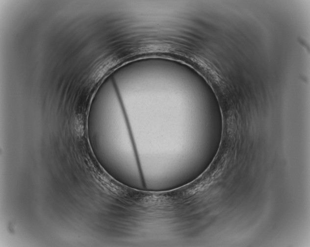 X0000097490929200802291428