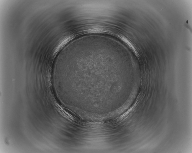 X0000097490930200802291428