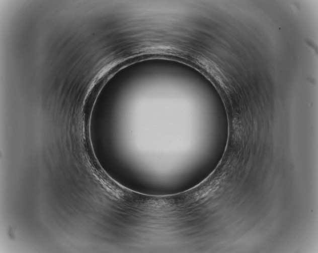 X0000097490931200802291428