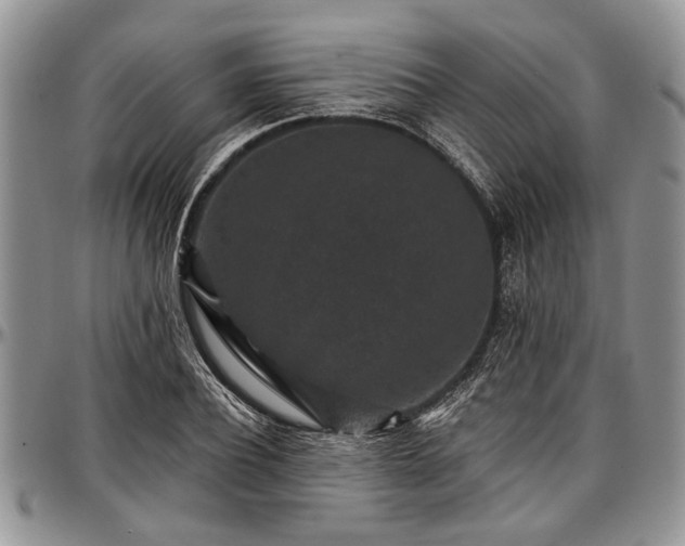 X0000097490932200802291428