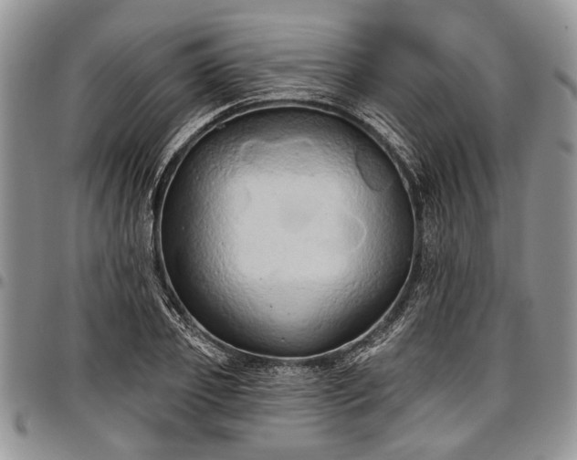 X0000097490933200802291428