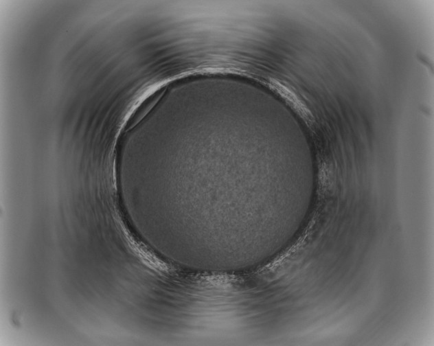 X0000097490934200802291428