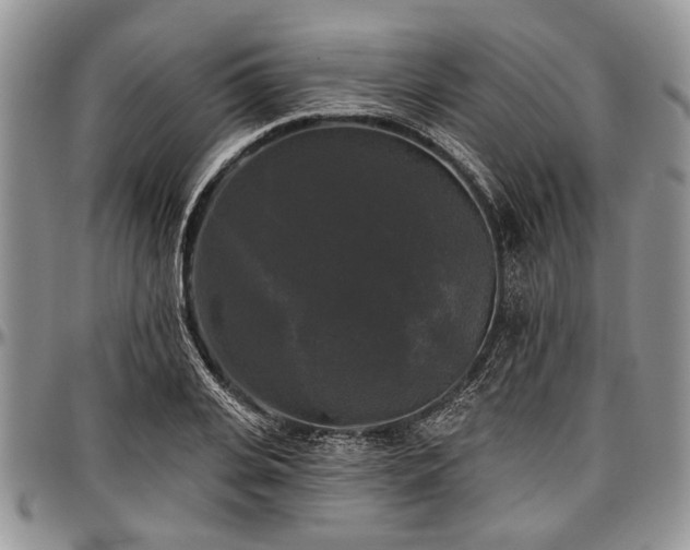 X0000097490935200802291428