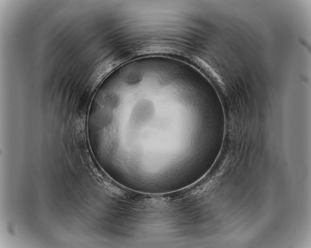 X0000097490937200802291428