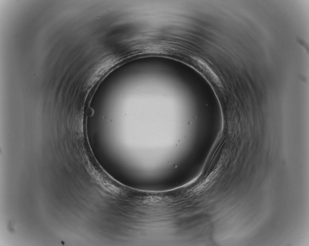 X0000097490938200802291428