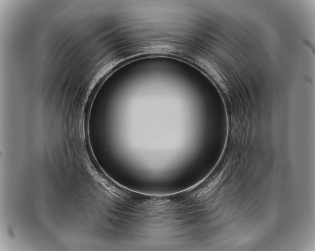 X0000097490939200802291428