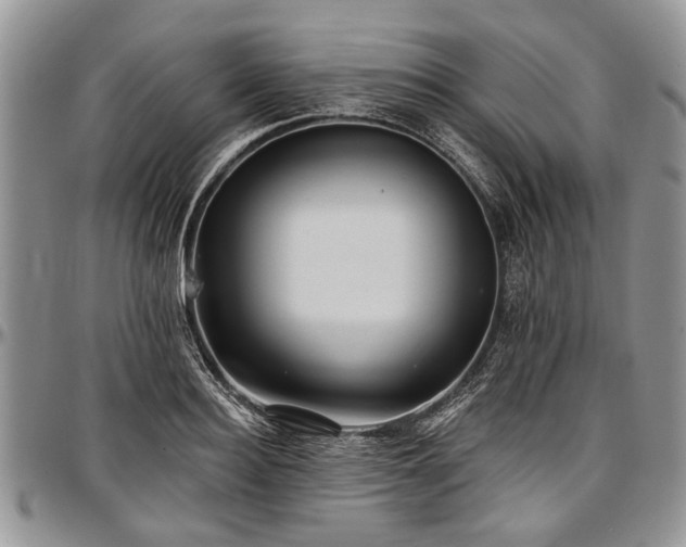 X0000097490940200802291428