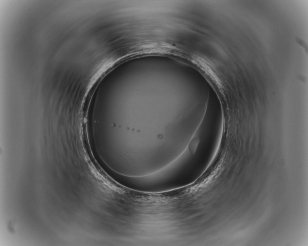 X0000097490941200802291428