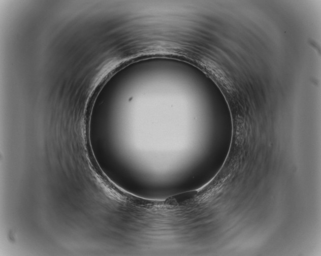 X0000097490942200802291428