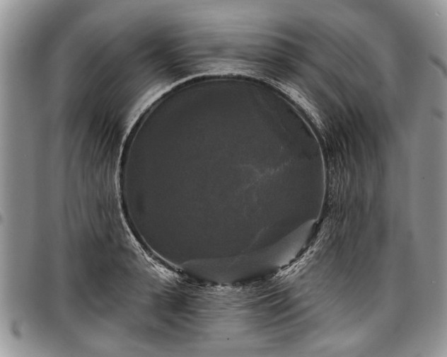 X0000097490943200802291428