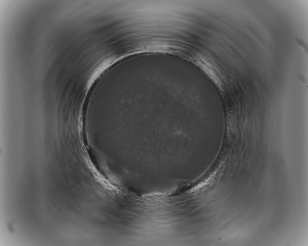 X0000097490944200802291428