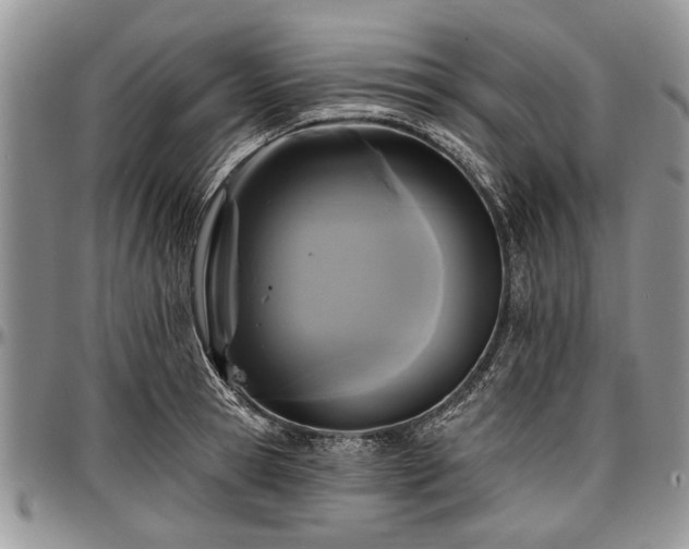 X0000097490945200802291428